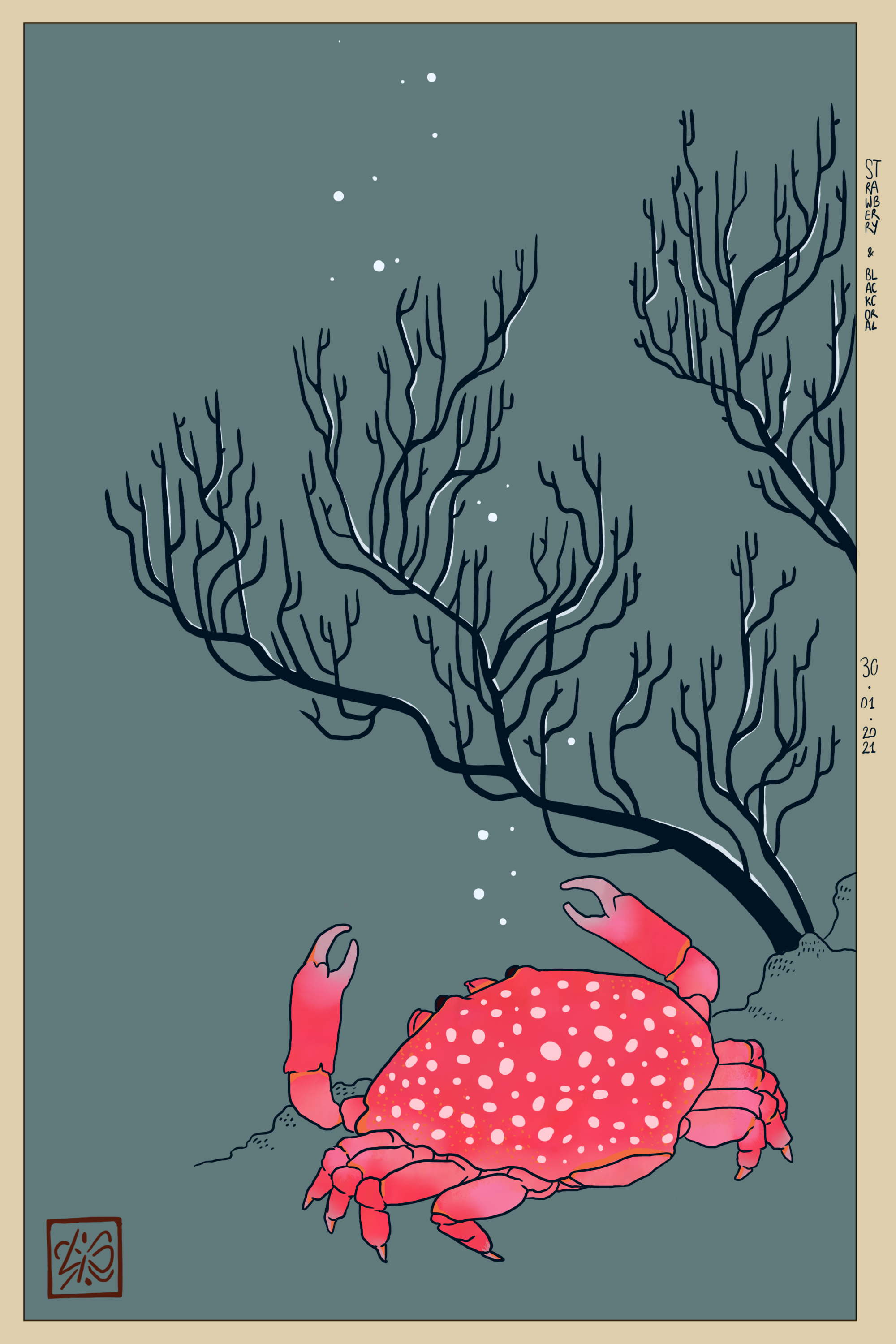 Strawberry crab