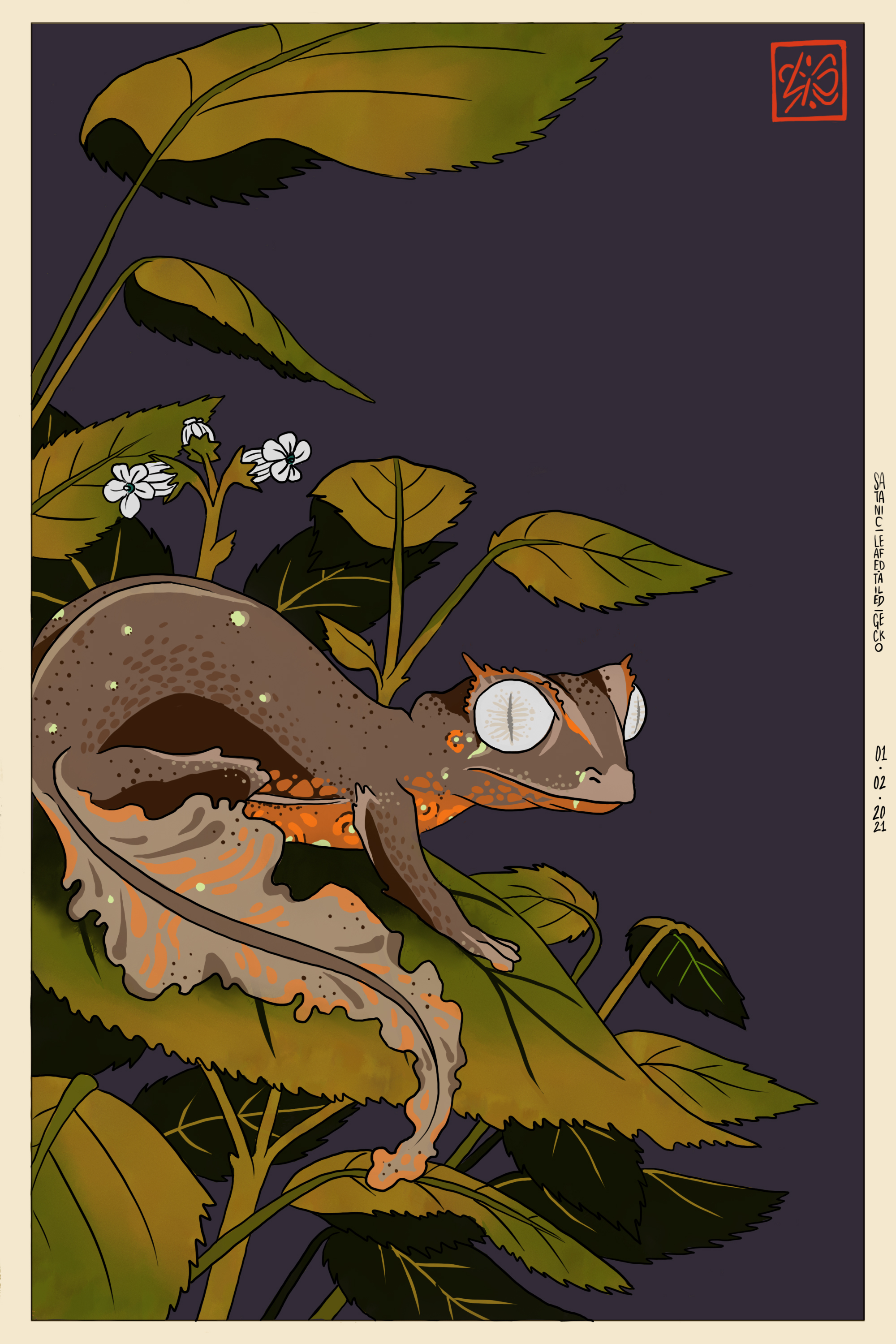 Satanic leaf tailed gecko